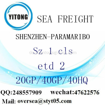 Shenzhen Port Seefracht Versand nach Paramaribo